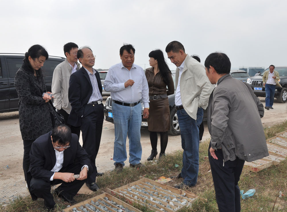 项副厅长、战院长等在五河某金矿钻探工地考察